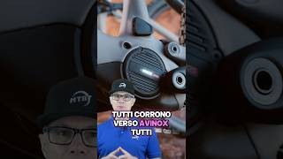 AVINOX sta distruggendo la concorrenza? 📉