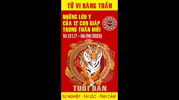 Tuổi Dần - Các vấn đề cần chú ý trong tuần mới (31/07 - 06/08/2023)