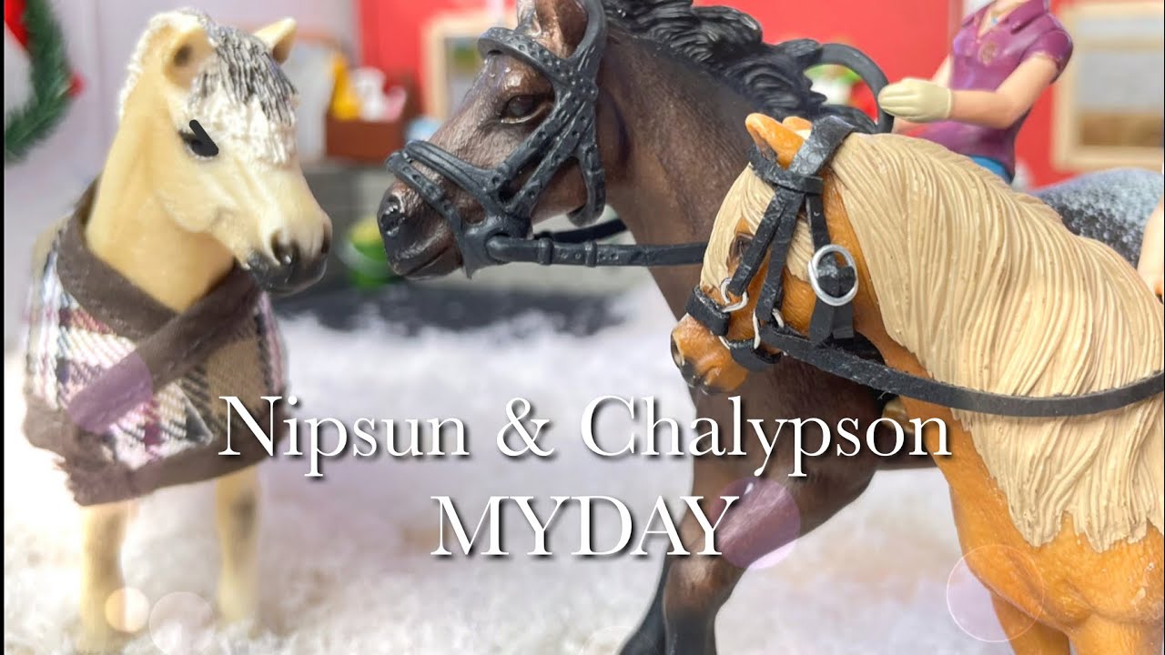 Nipsun & Chalypson MYDAY😱🐴