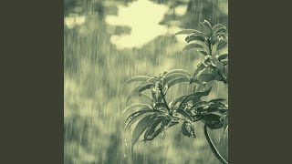 Subtle Moods for Rain and Thunderstorms