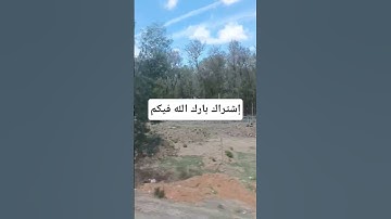 القرآن الكريم بصوت جميل #duet #quran #اكسبلور #qoraniyat423 #qoraniyat421 #لايك #راحة_نفسية #تفاعل