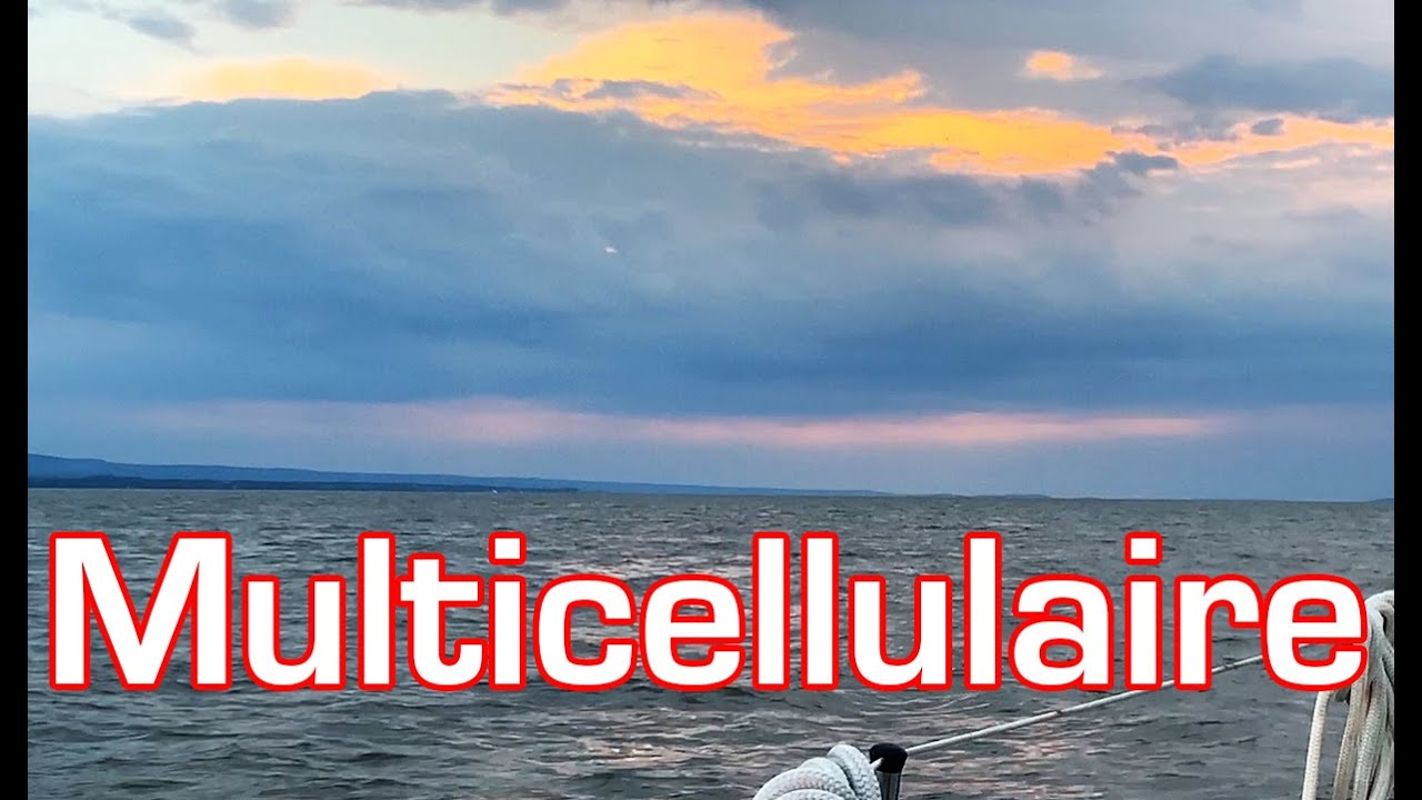 ⁣Balises cardinales dans un orage multicellulaire (S02E18)