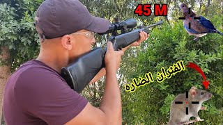 رحلات صيد البريه مع القناصين ( جديد 2022) . Wild hunting trips with snipers