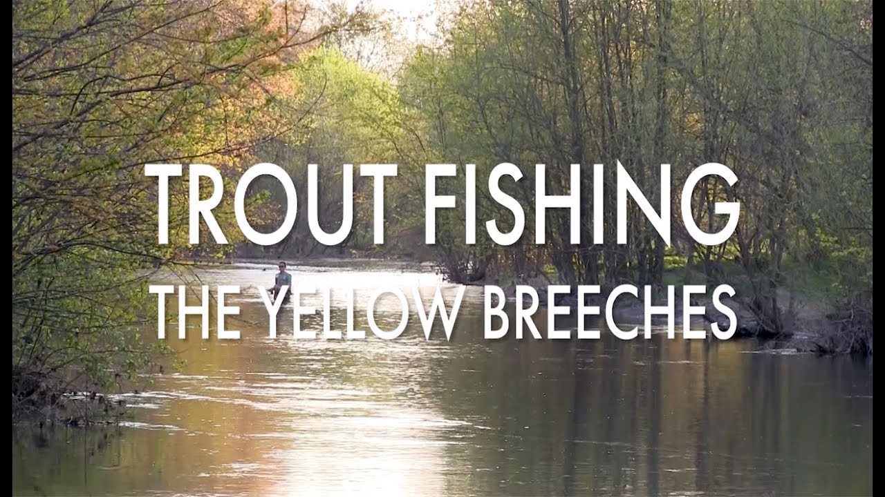 Trout Fishing Pennsylvania's Yellow Breeches YouTube