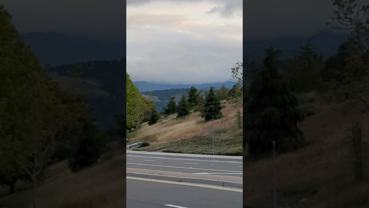 STUNNING Silicon Valley hills in the backdrop scenery 😍 