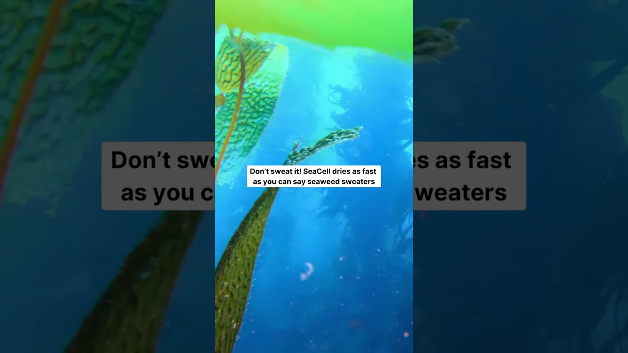 How Moisture-Wicking Is SeaCell?