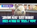 [한눈에 이슈] &#39;갈비뼈 사자&#39;가 있던 동물원…폐업 4개월 뒤 가보니 &#39;막막&#39; / KBS 2024.03.31.