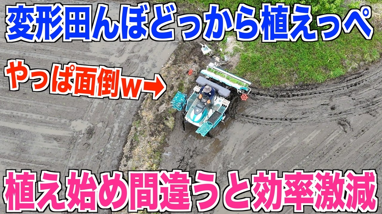 【田植え】植え方ミスると効率悪くなる変形田んぼ しぼっつぁエリア 米作り奮闘記#689