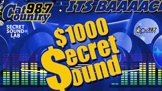 Secret Sound Fall 2017 - Sound 1
