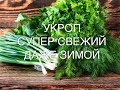 ПРОСТАЯ заготовка зелени на зиму/СВЕЖАЯ ДАЖЕ ЗИМОЙ/Укроп