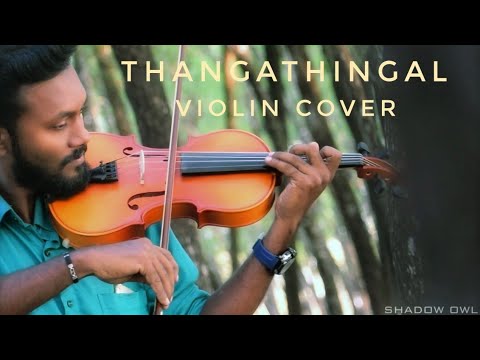 Thanka Thinkal Kiliyayi Kurukaam | Violin Cover | Indraprastham