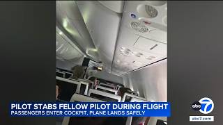 Tel Aviv flight passengers fight off attempt to crash plane after pilot stabs copilot