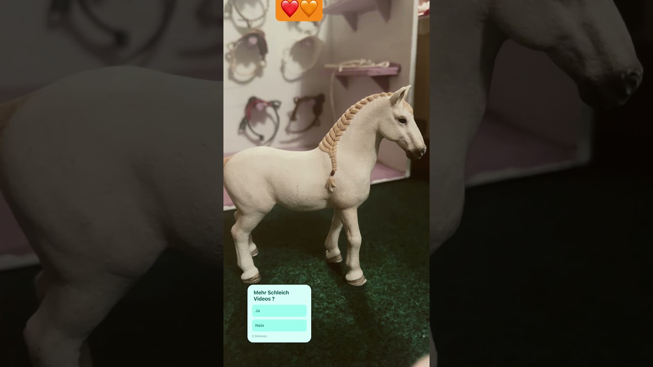 Frage Video / Schleich 🐨