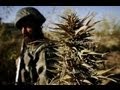 Time 4 The DEA To Speak