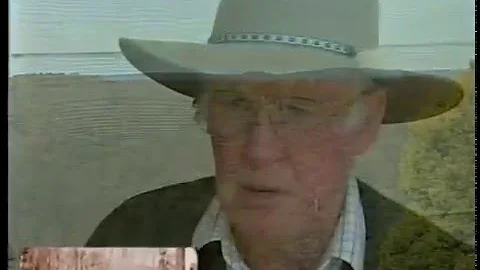 Forestry in the Otways - 2004 - DayDayNews