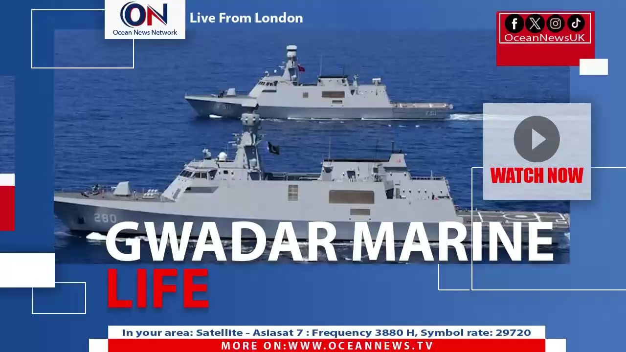 Аравийские горбатые киты были замечены у берегов Гвадара.