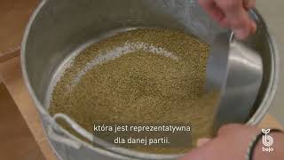 BEJO | Seed sampling process - [EN-PL]