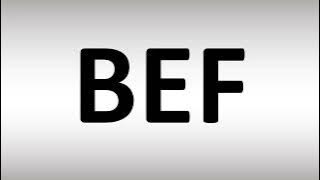 BEF Meaning | Explained