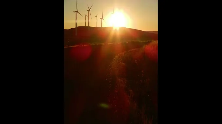 [2025-12-13-19-56-13]