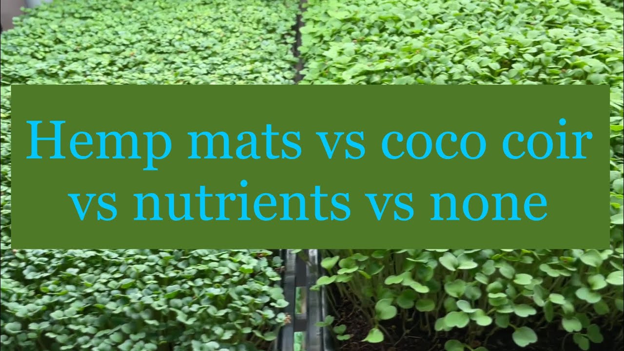 Маты из конопляного волокна, кокосовая койра и питательные вещества