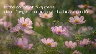 【Soft chill Music】 ★ In the midst of busyness, don't forget to seek out the beauty in life ★ screenshot 2