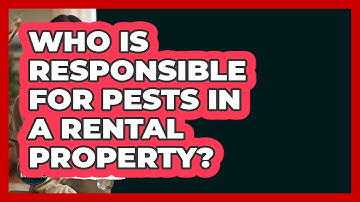 Who Is Responsible For Pests In A Rental Property? - Insects and Invaders