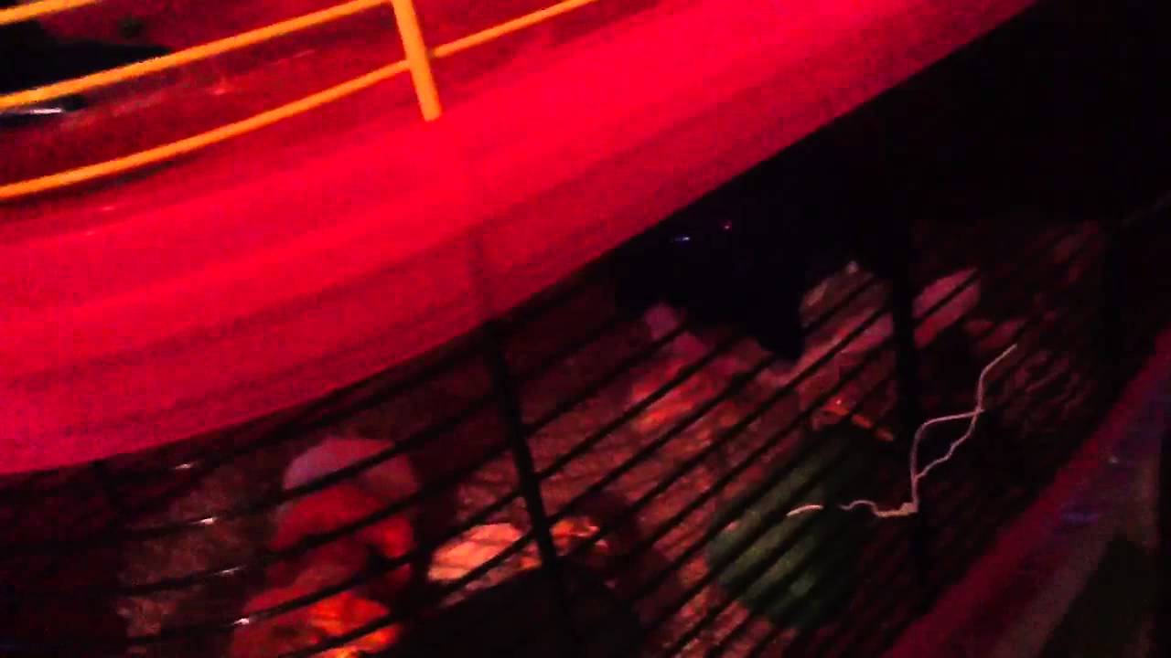 camera iphone 8 plus apk Bears cage tour :)