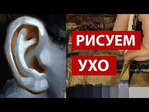 Как рисовать ухо