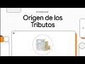 Origen de los Tributos #youtuber #contabilidad #impuestos #tributos