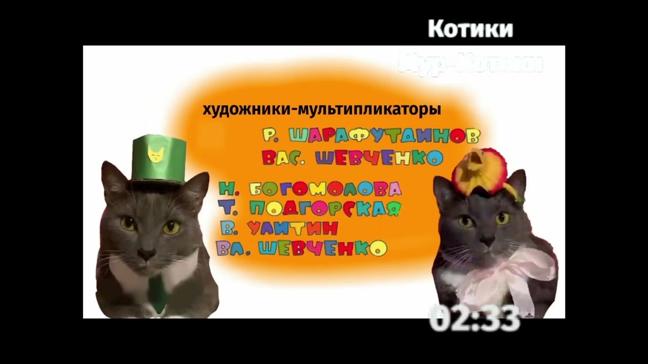 Канал котинет