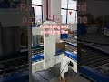 Automatic Palletizing Packaging Line | Robotic End-of-Line Packaging Solution