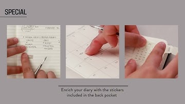 Moleskine Undated Planners