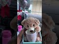 My God mother Late Mothers Day Gift 🎁
