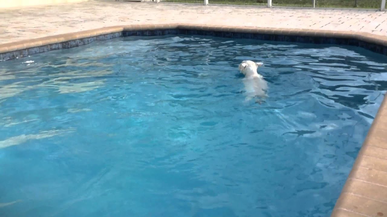 Christy missed her pool!