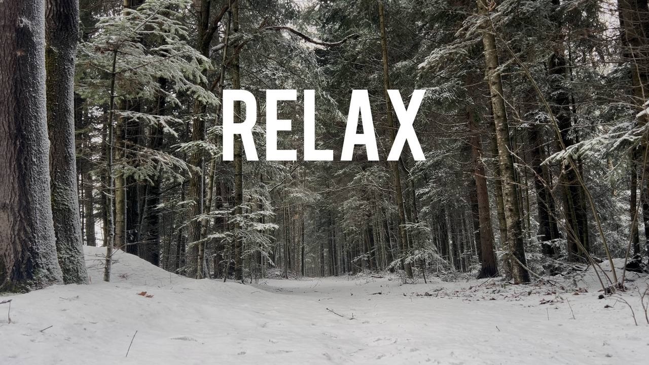 Forest Whisper | Nature's Lullaby for Deep Sleep & Peace