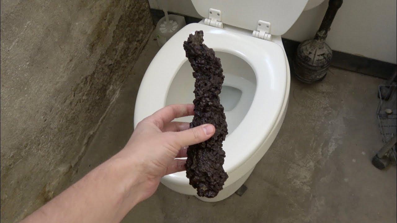 What Does Poop Look Like Inside The Body