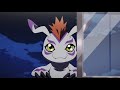 Gomamon Finds Joe Digimon Adventure Tri