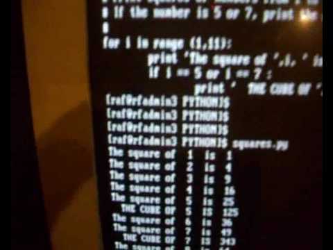 Python program with loop and if statement