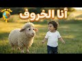 أنا الخروف أغنية أطفال ممتعة عن اللعب والطبيعة أنشودة تعليمية