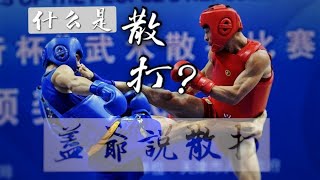 什么是散打? | 散打又和拳击、自由搏击、跆拳道、泰拳、综合格斗等搏击类运动有什么不同？| What is Wushu Sanda / Sanshou?