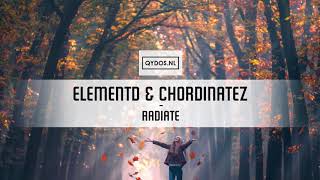 Download lagu ElementD & Chordinatez – Radiate (ft. Mees Van Den Berg)