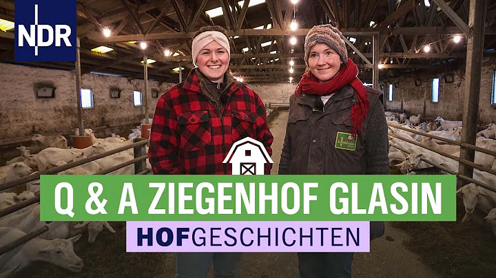 Sidonie und Henriette beantworten Eure Kritik | Ho...