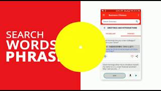 Business Chinese App: Learn Mandarin Chinese for business with this app! Business Chinese phrases. screenshot 5