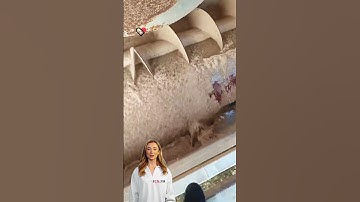 #fcnfm FCN.FM - Navigating the Complexities of Chemical Water Treatment for Optimal Results