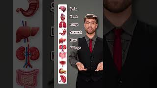 Human Body Internal Organs 🧠❤️🫁 Learn 10 Important English Words Fast!