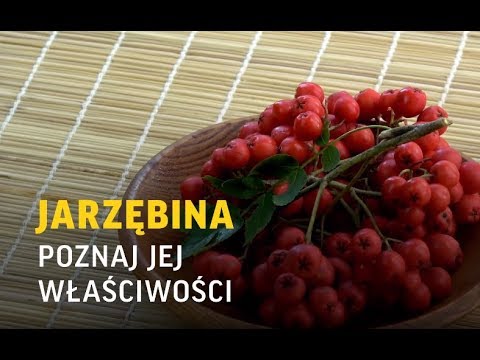 Wideo: Przydatne Właściwości Jarzębiny