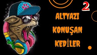 Alt Yazi Konuşan Komi̇k Eğlenceli̇ Kedi̇ler - Mi̇yavca Alt Yazi Konuşan Kedi̇ler