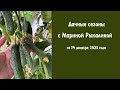 Дачные сезоны с Мариной Рыкалиной от 14 декабря 2023 года