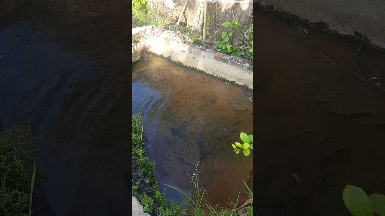 Tanah Dijual Di Pemandian Air Panas Cisolong Pandeglang(3 ...