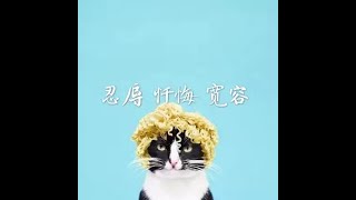 201510 忍辱 忏悔 宽容31238